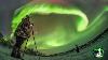 Aurora Borealis Northern Lights Live Highlights