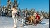 Christmas Departure Of Santa Claus Reindeer Ride In Lapland Finland Of Father Christmas