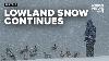 Continuing Coverage Lowland Snow In Western Washington