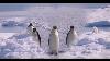 Dancin Penguins And Polar Bears A Chillin North Pole Village Dance