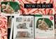 Department 56 Ginny's Cookie Treats Set 56732 North Pole Series Village New X