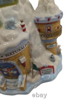Department 56 North Pole Series Polar Bear Palace No Chips No Cracks Light Works