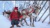 Kilvo Elf Visiting Santa Claus Village In Rovaniemi Lapland Finland Arctic Circle Father Christmas