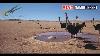 Namibia Live Stream In The Namib Desert