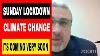 Sunday Lockdown Is Coming Soon Watch This Dr Conrad Vine